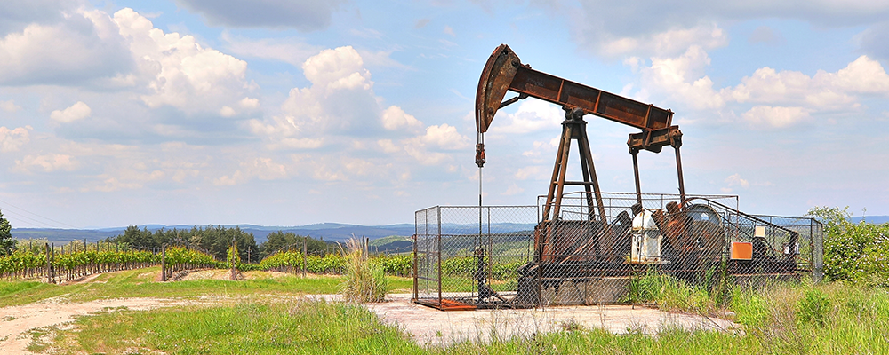 Глава Occidental Petroleum: Хотим, Да Не Можем