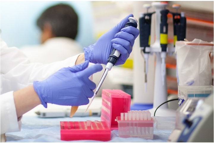 La Empresa 'trillium Therapeutics' Se Dispara: Pfizer La Adquiere Por 2,260 Millones De Dólares