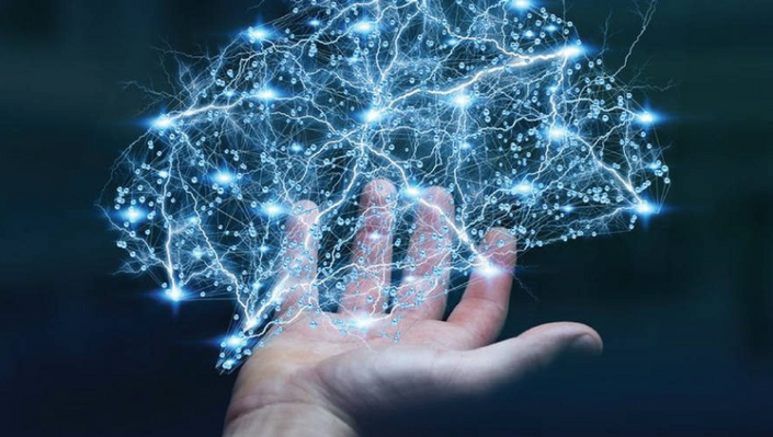 ¿qué Es La Psicología Del Trading Y Cuál Es Su Importancia?