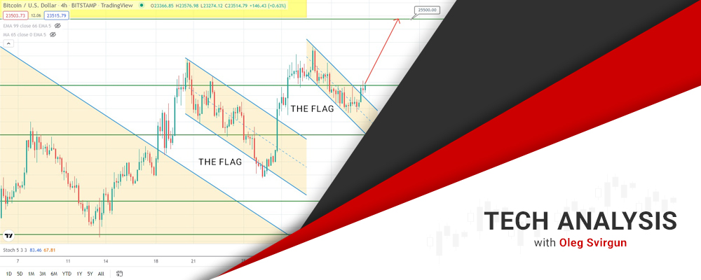 Bitcoin and Gold Are on the Rise
