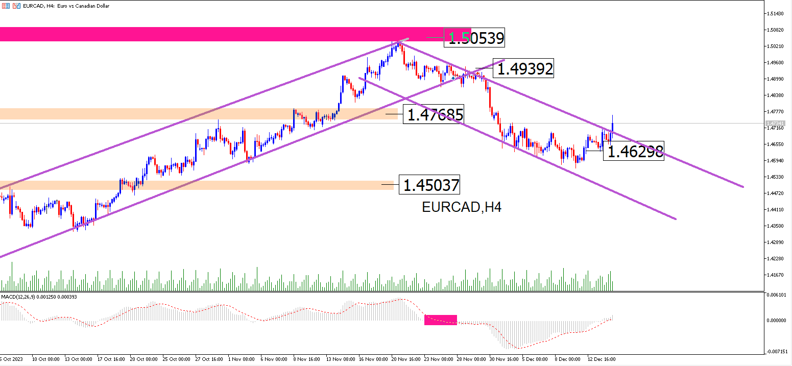 Eurcad: El Euro Vuelve a Tomar La Delantera