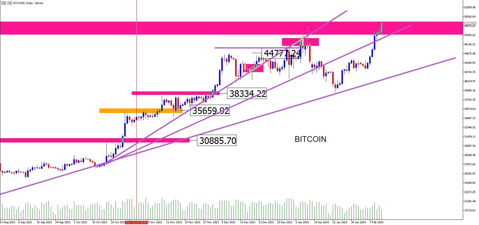 Bitcoin: El Rey Se Recupera