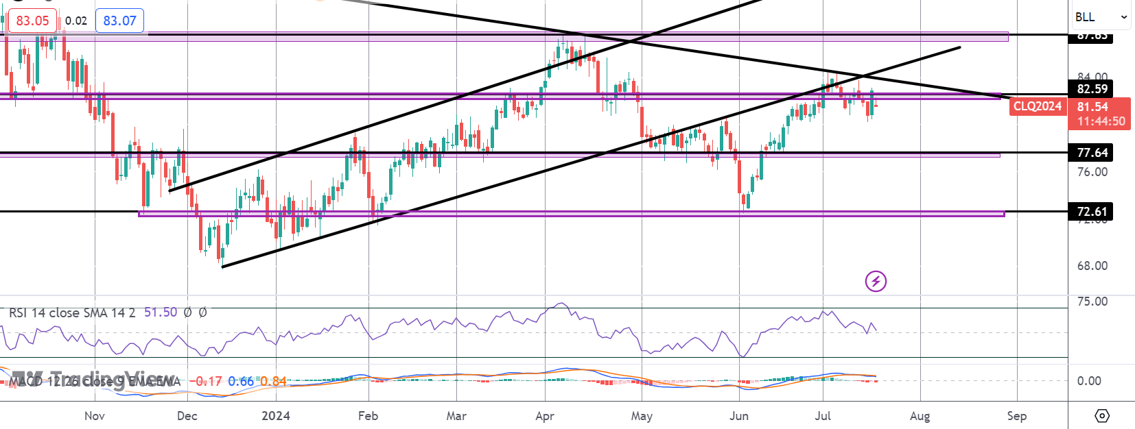 Crude Rallies on Strong US Demand