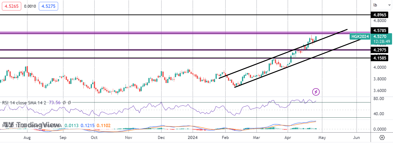 Copper Rally Resumes - What to Watch