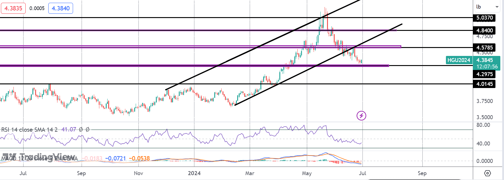 Copper Plunge Pauses For Now