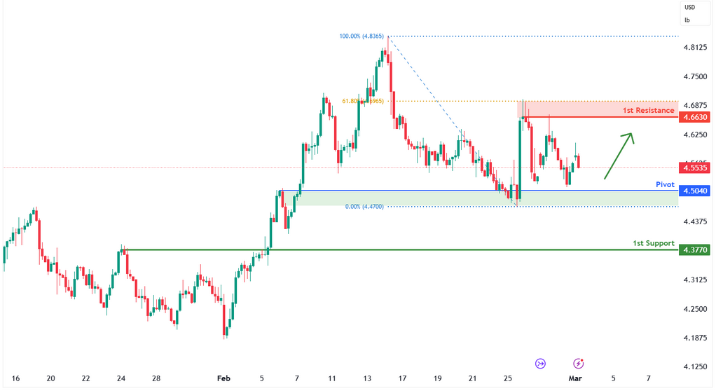 Copper Futures (hg1!) H4 | Falling to an Overlap Support