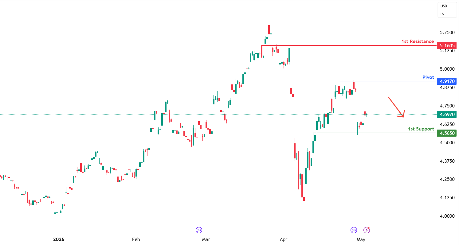 Copper Futures (hg1!) H4 | Heading Into a Swing-high Resistance