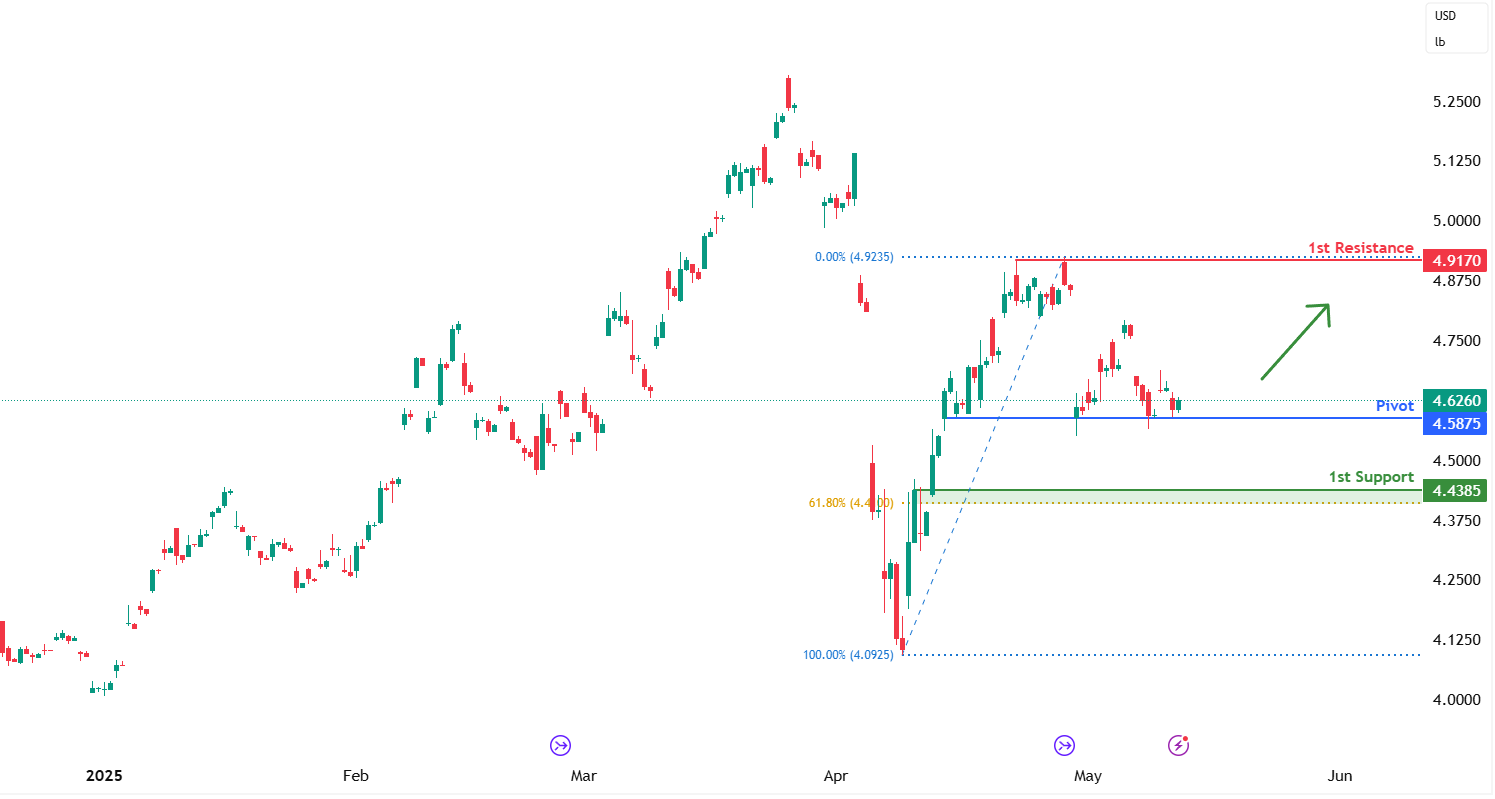 Copper Futures (hg1!) H4 | Potential Bullish Bounce Off a Multi-swing-low Support