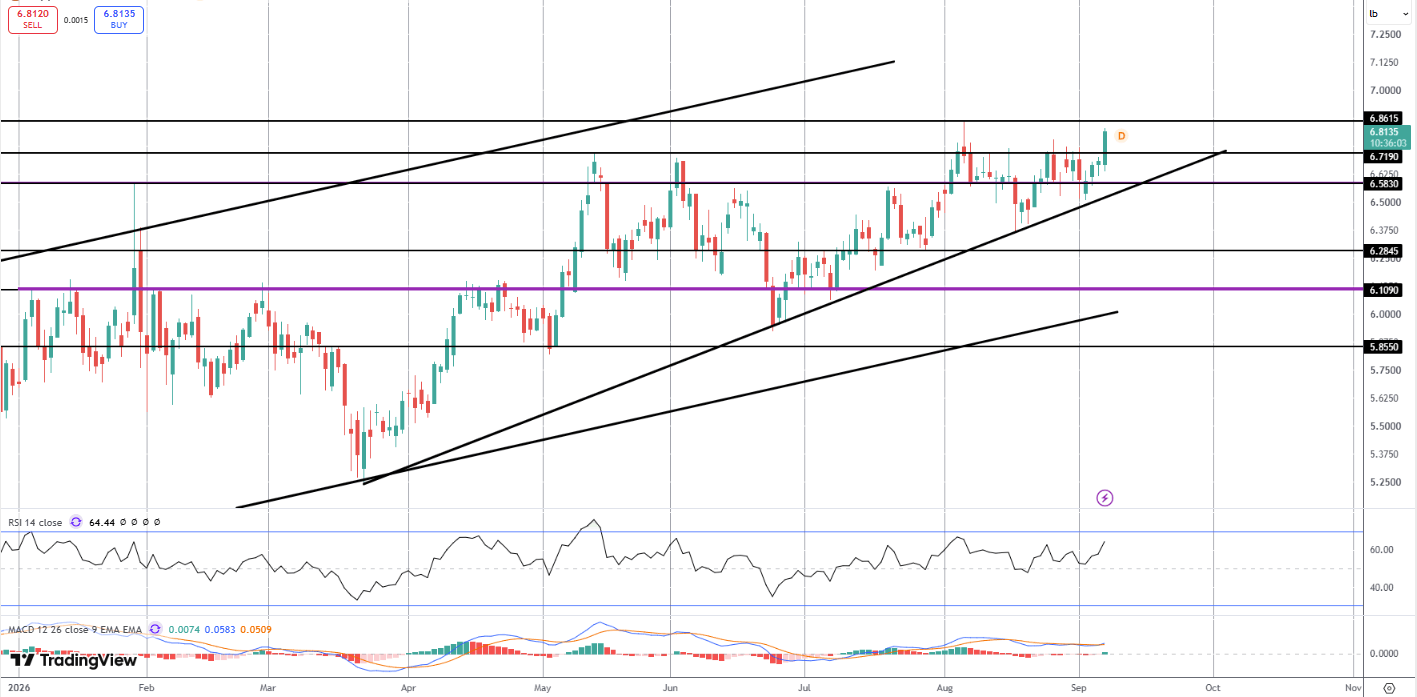 Copper Surges on Tariff Buying