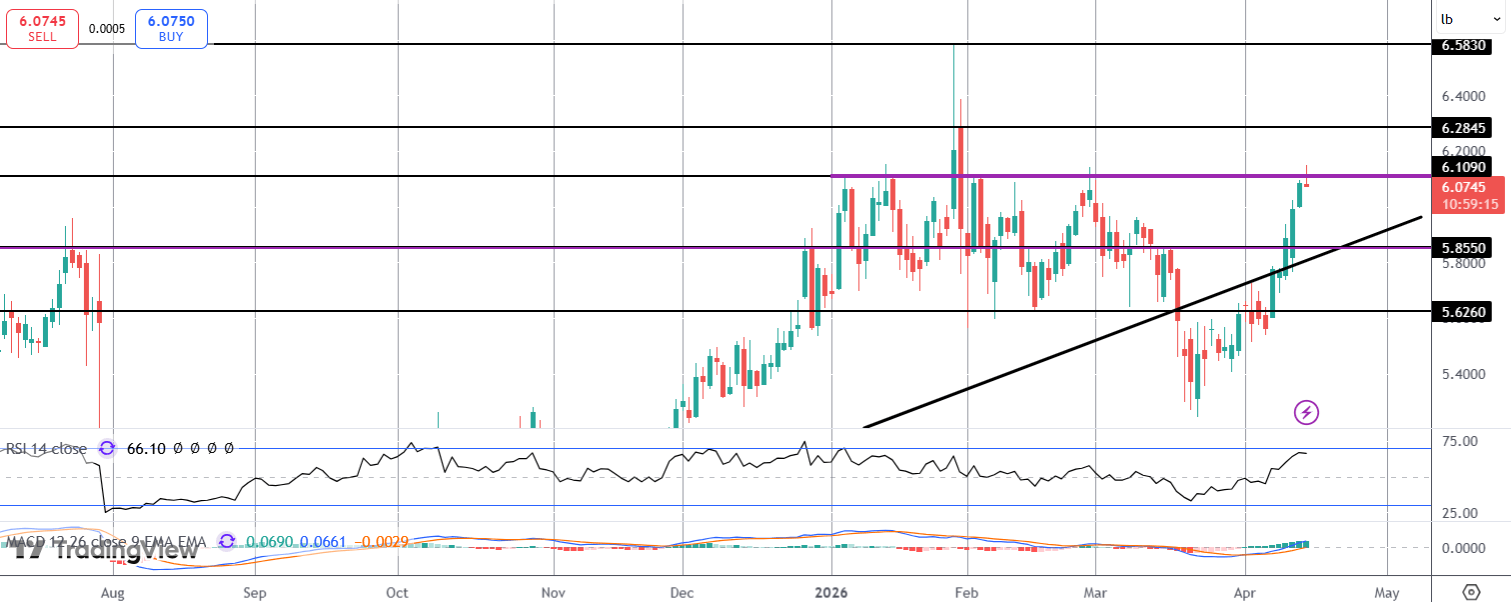Copper Rally Pauses But Bullish Outlook Remains Strong
