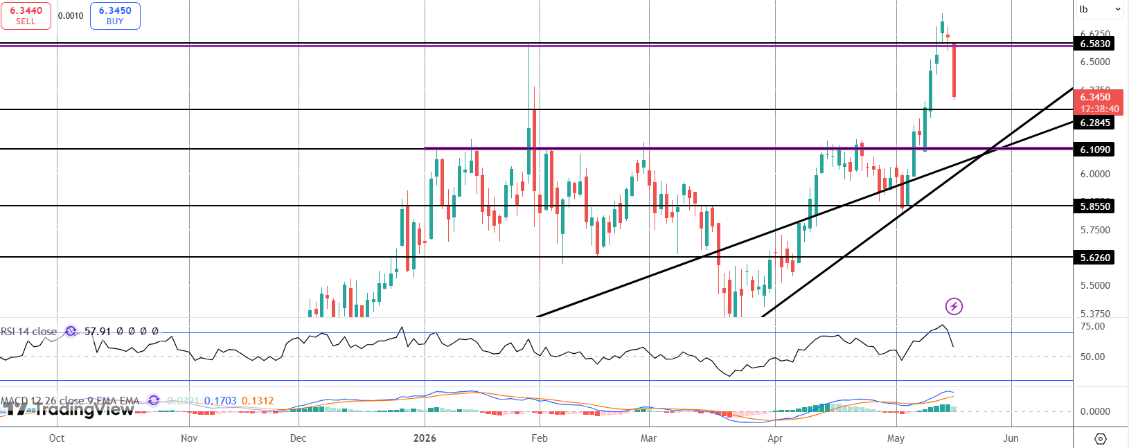 Copper Plunges Following Trump/xi Meeting