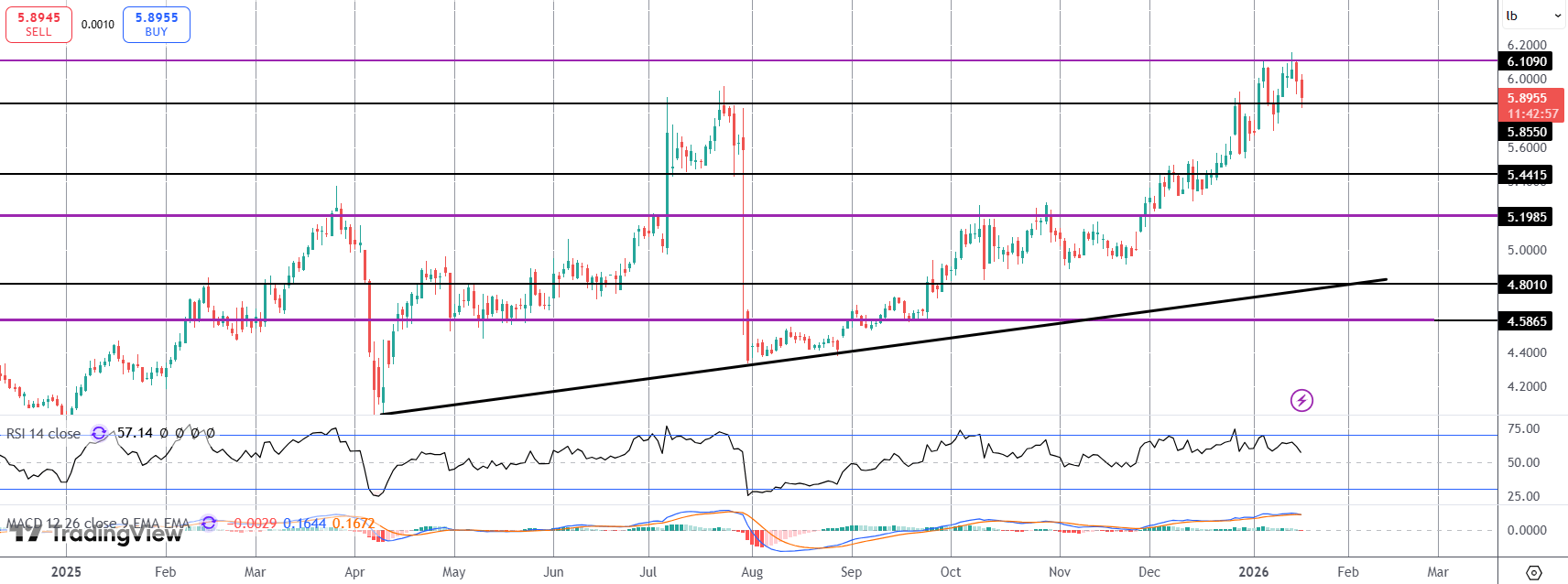 Copper Pulls Back From Highs As China Cracks Down on HFT