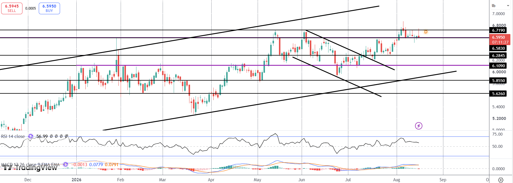 Copper Falls On Weak China Data