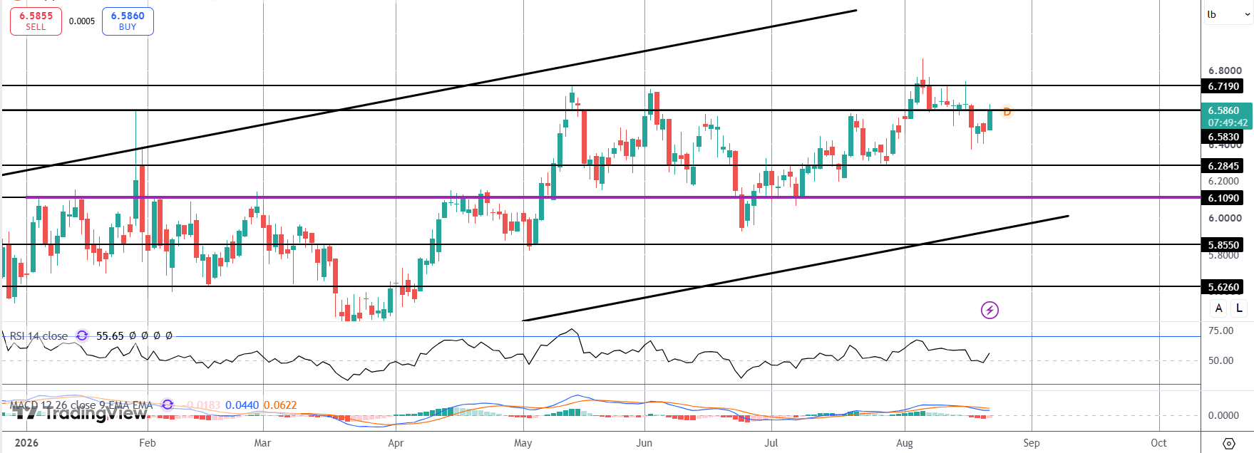 Copper Rallies on Supply Tightness & USD Weakness