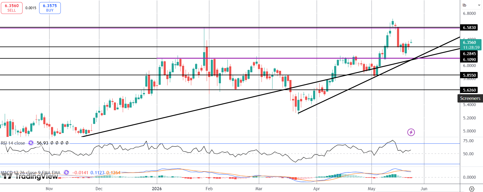 Copper Higher Amidst Tight Supply Backdrop