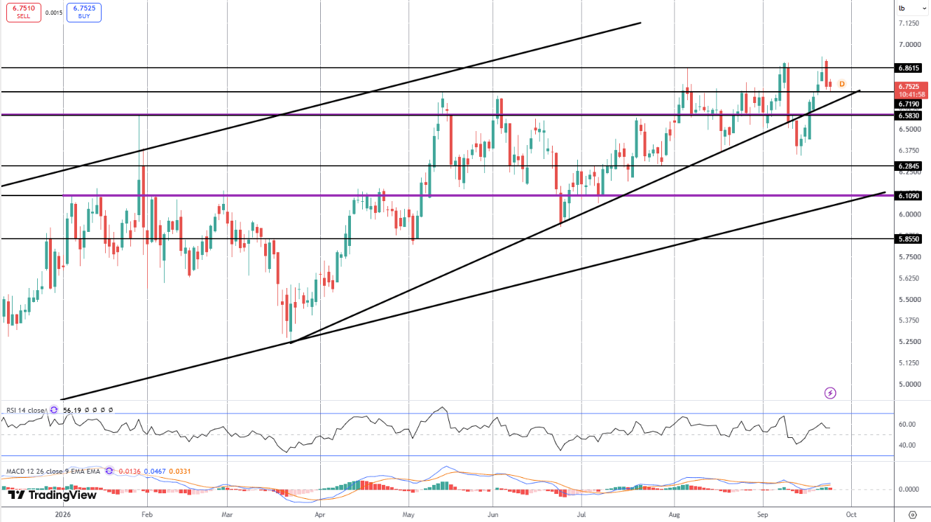 Copper Slides Back From Fresh Record Highs