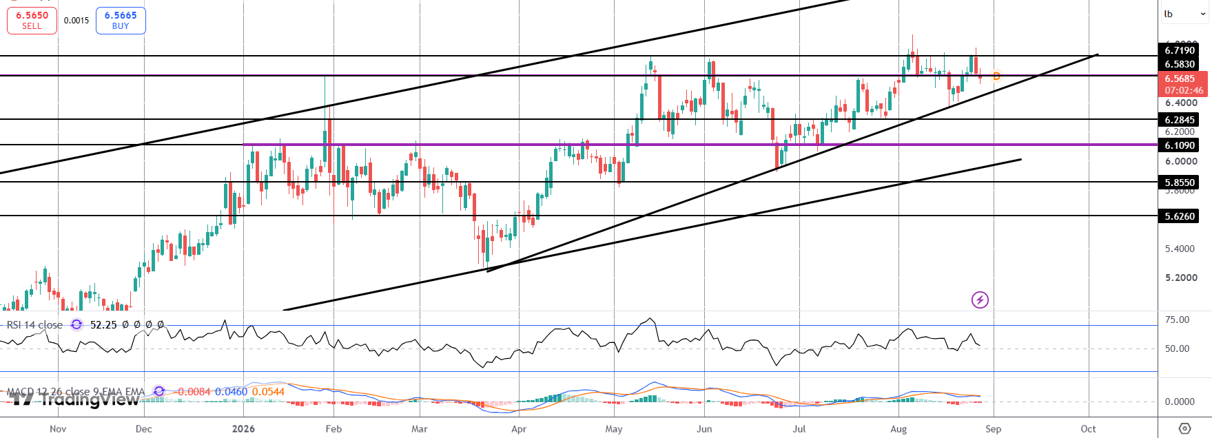 Copper Reverses From Week's Highs