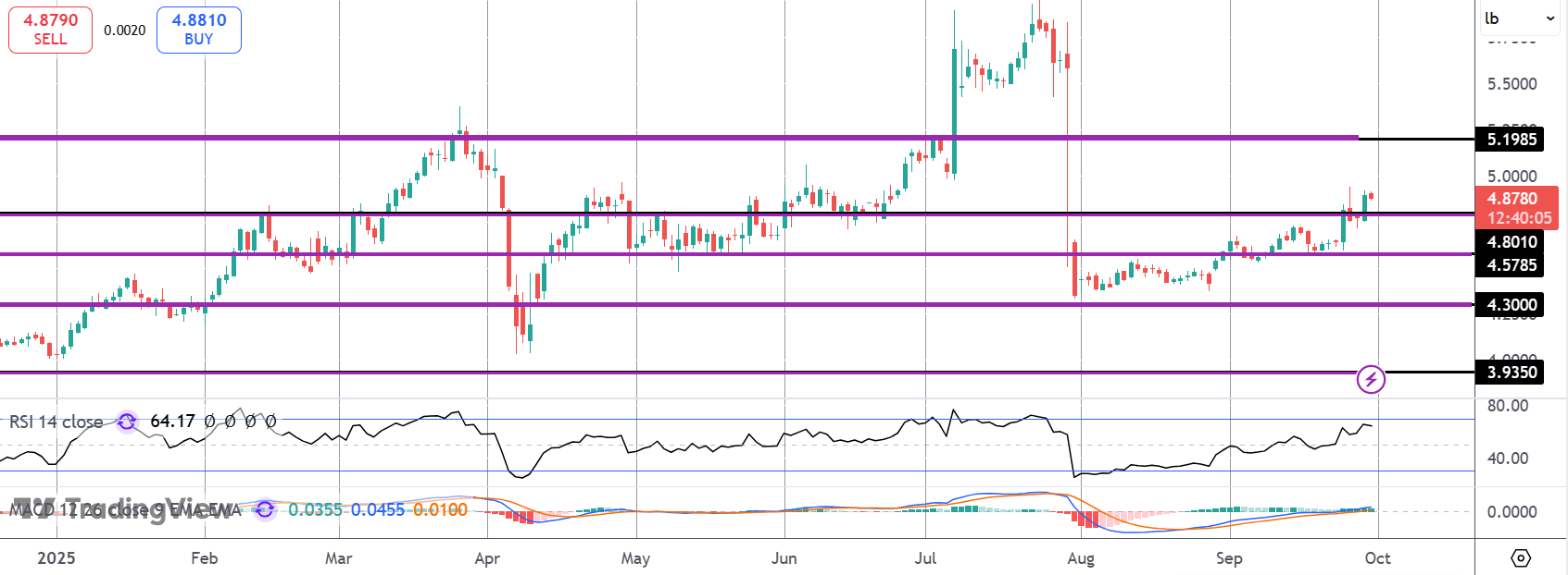 Copper Rally Continues on Supply Issues