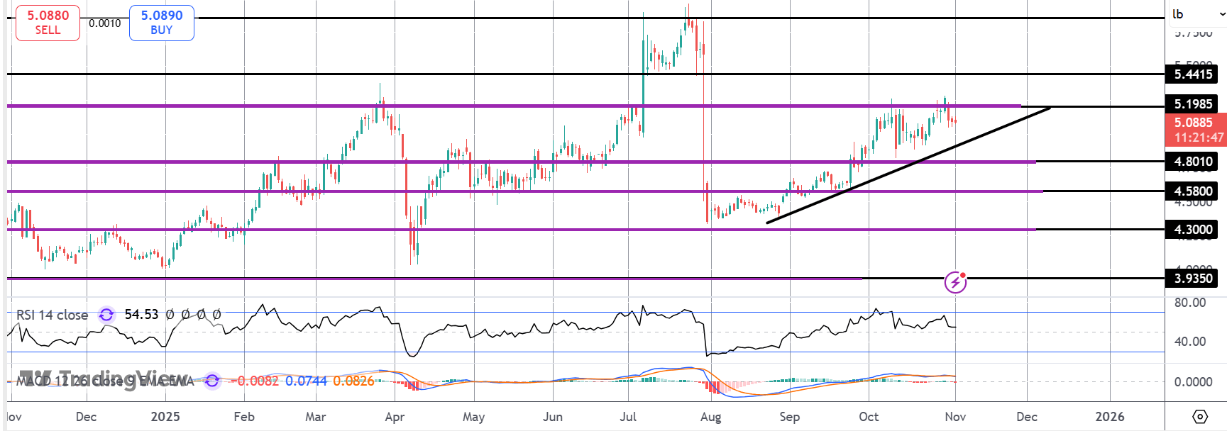 Weak China Data Weighs on Copper