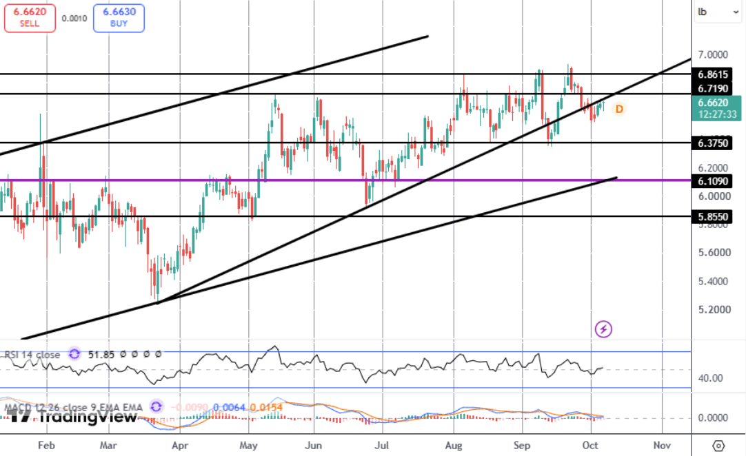 Copper Prices Underpinned By Weak Supply