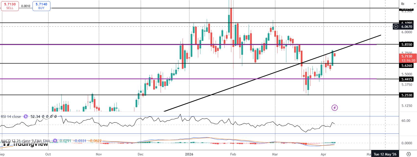 Copper Rally Loses Momentum On Ceasefire Uncertainty
