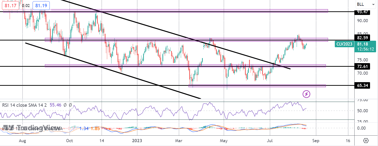 Crude Rallies On Lower OPEC Exports