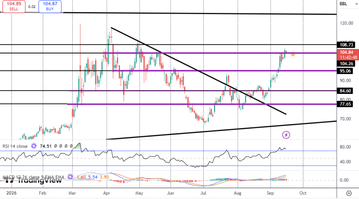 Crude Oil: EIA On Watch After Huge API Inventories Build