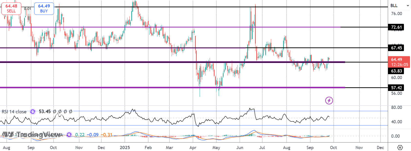 Can Crude Hold Onto Recent Gains?