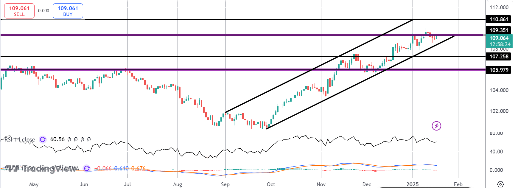 Dollar Rally Pauses Ahead of Potential Trump Fireworks