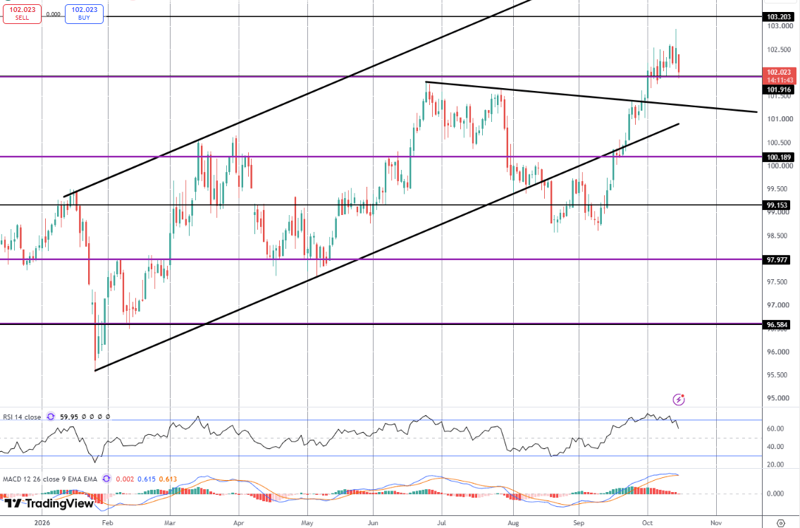 Why Is USD Plunging Despite CPI Jump?