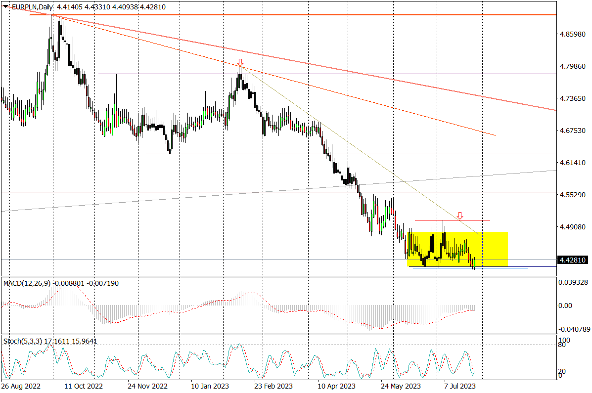 Eur/pln (d) – Bez Wybicia