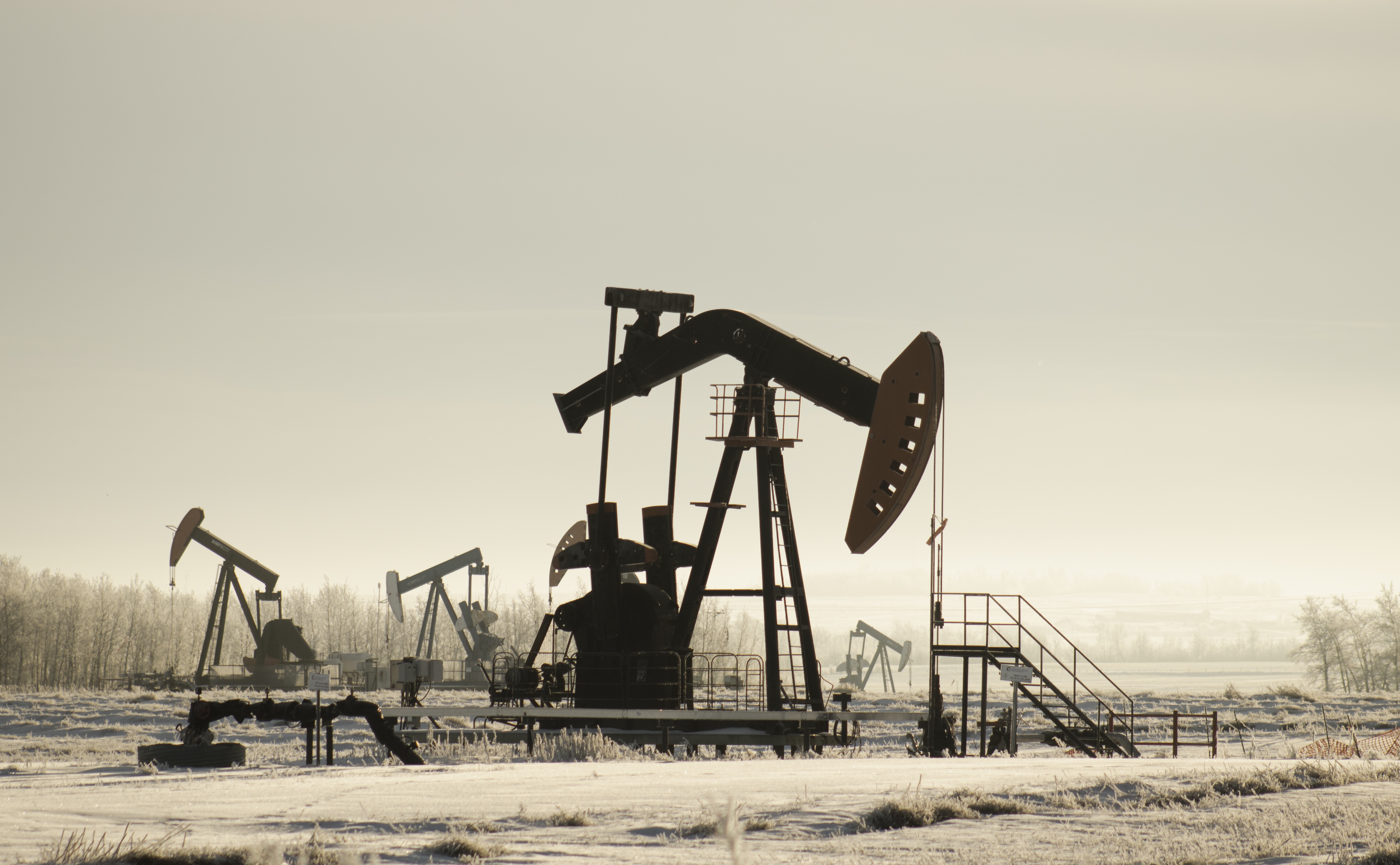 Día De Empleo Y El Petróleo Se Sigue Recuperando