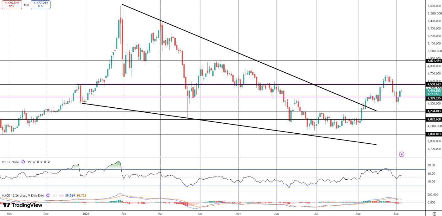 Gold Rallies Ahead of US Jobs Data