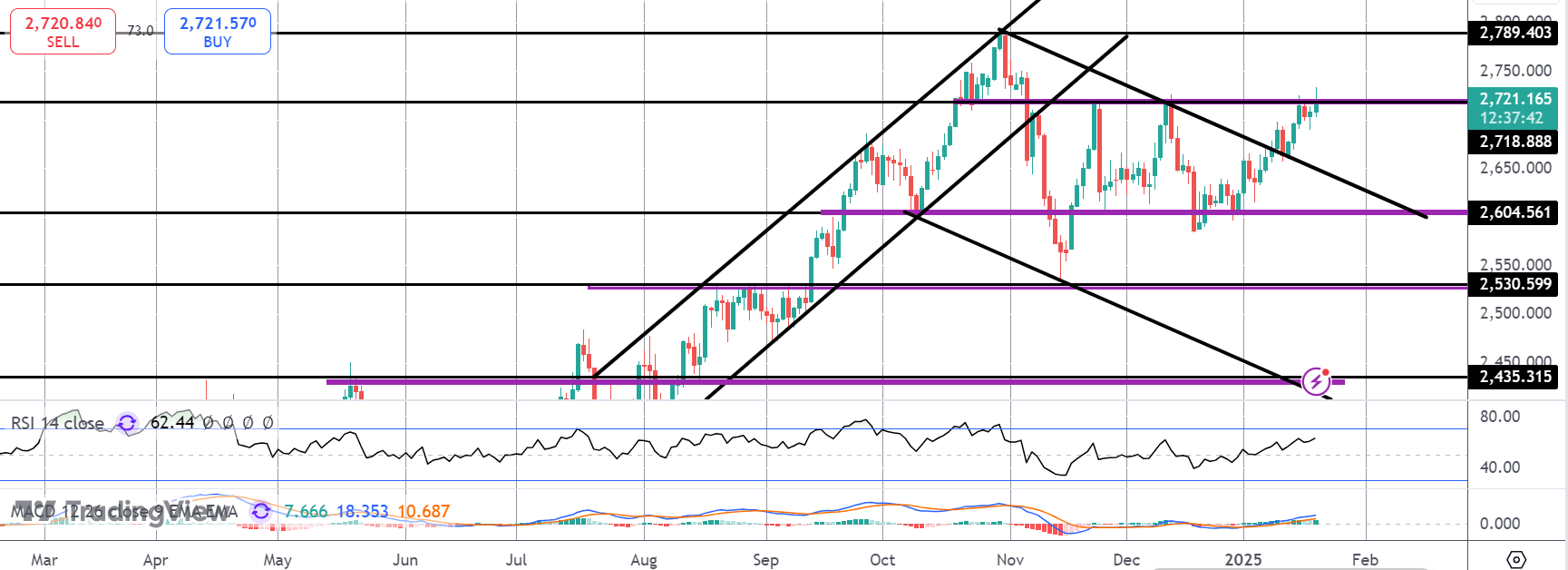 Gold Rallies Amidst Trump Volatility
