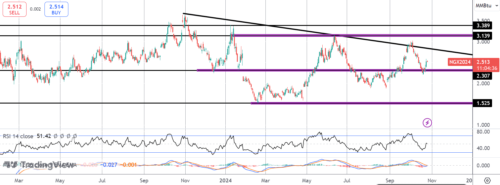 Nat Gas Rallies Despite Inventories Build