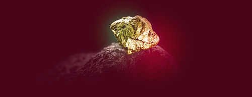 Dlaczego Traderzy Wybierają Tickmill