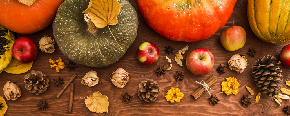 Hari Thanksgiving di U.S. - 2022 Jadwal Trading