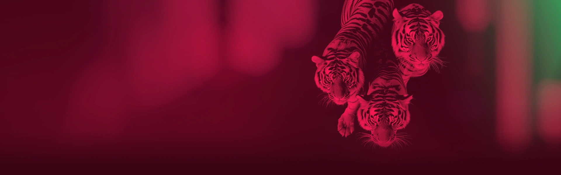 Careers | Be A Part of Something Spectacular | Tickmill