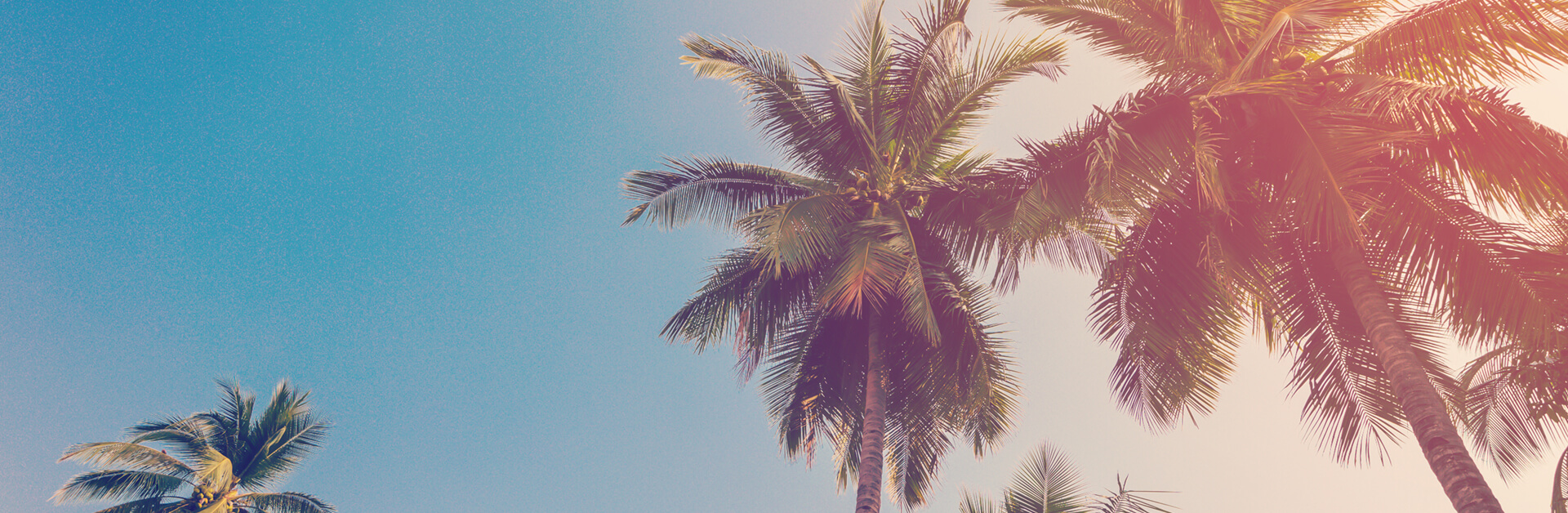 &iexcl;refresca Tu Verano Con Nuestro Bono Especial!