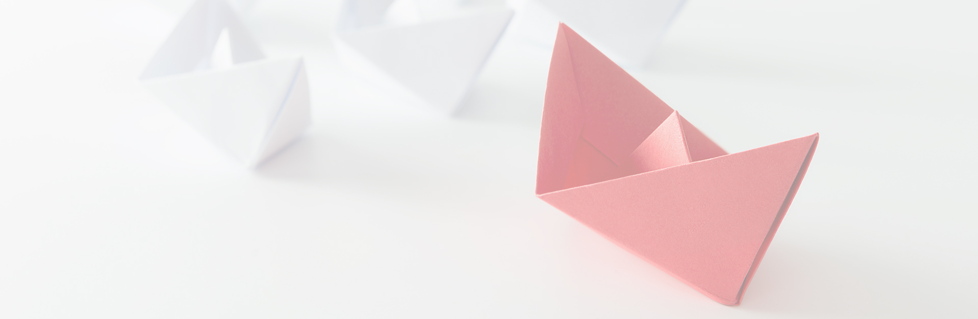 TICKMILL寻求外汇交易商客户投资组合