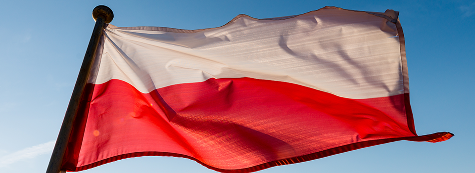 Tickmill habla polaco