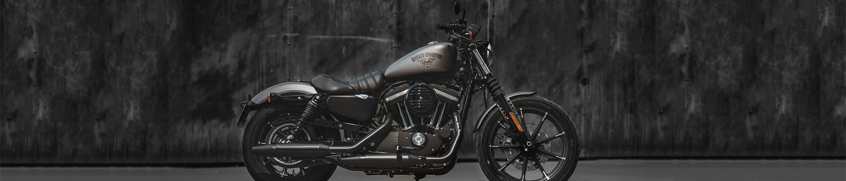 Win a Harley-davidson in Tickmill&rsquo;s Ultimate IB Ride Contest