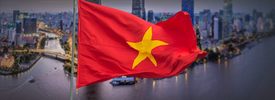 Tickmill - 베트남 언어 추가