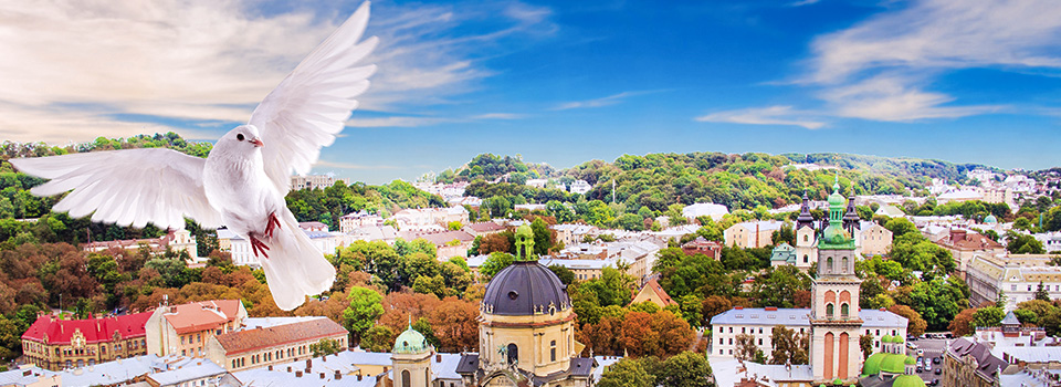 圣母升天节交易时间表