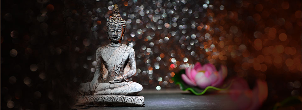 Urodziny Buddy - Harmonogram handlu