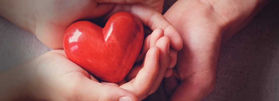 Contribui&ccedil;&atilde;o Significante Da Tickmill &agrave;s Comunidades Locais