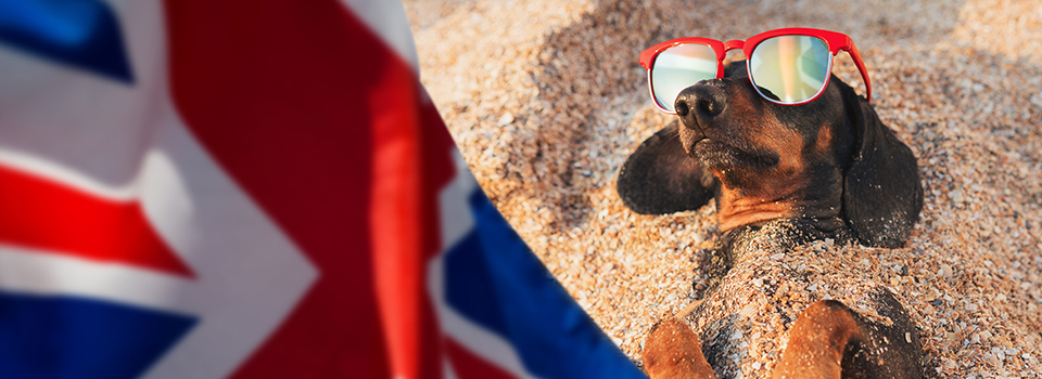 Jadwal Perdagangan Hari Libur Musim Panas Bank